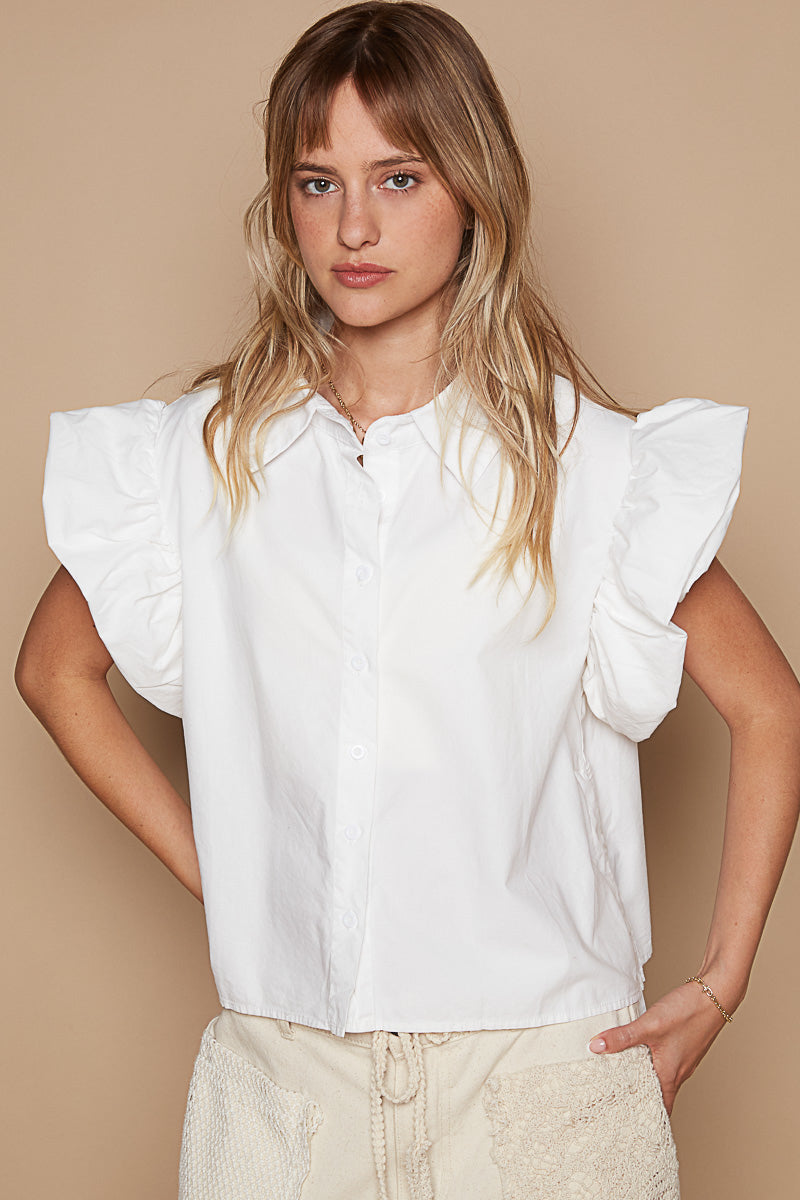 The Poet's Blouse