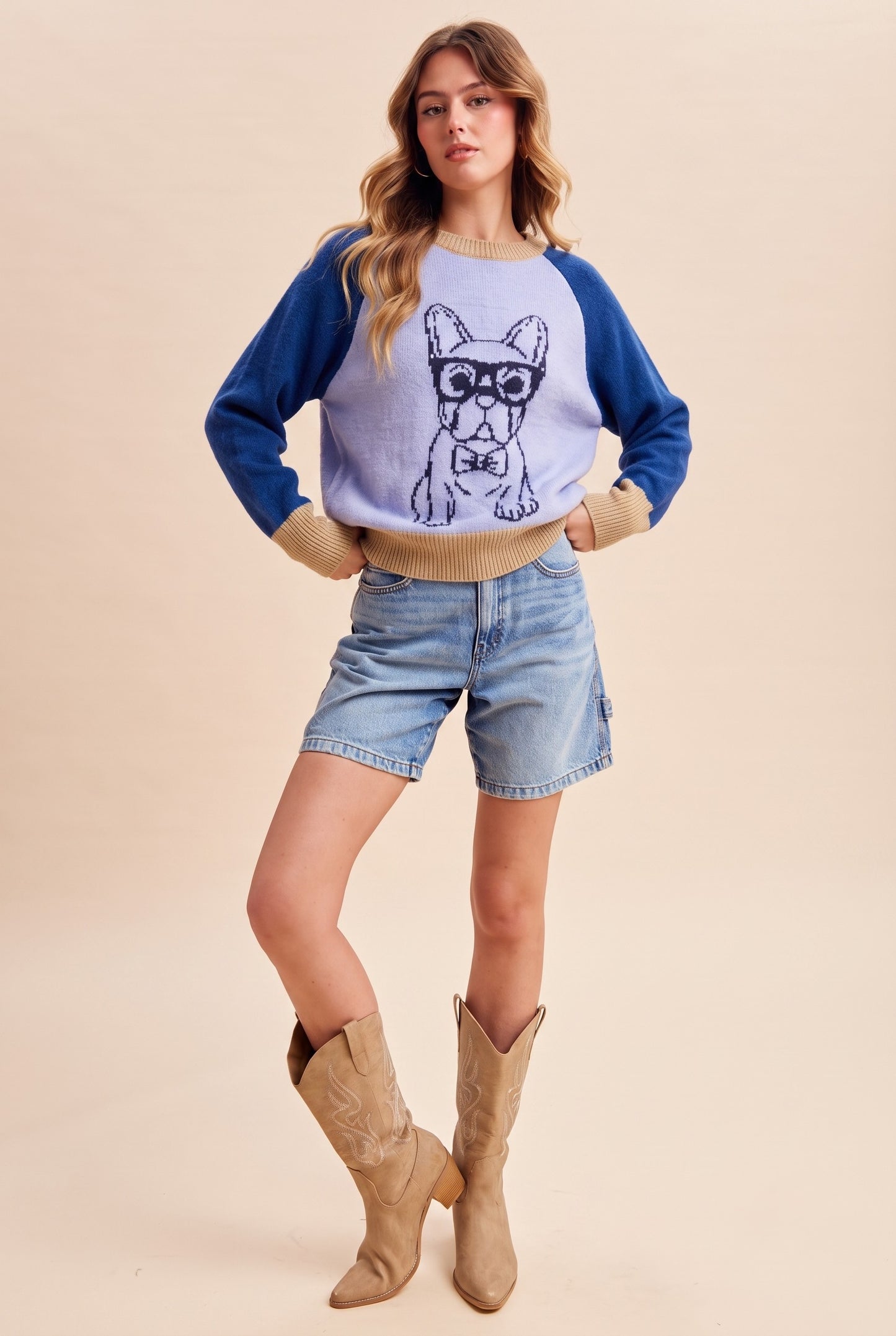 French Bulldog Color Block Sweater