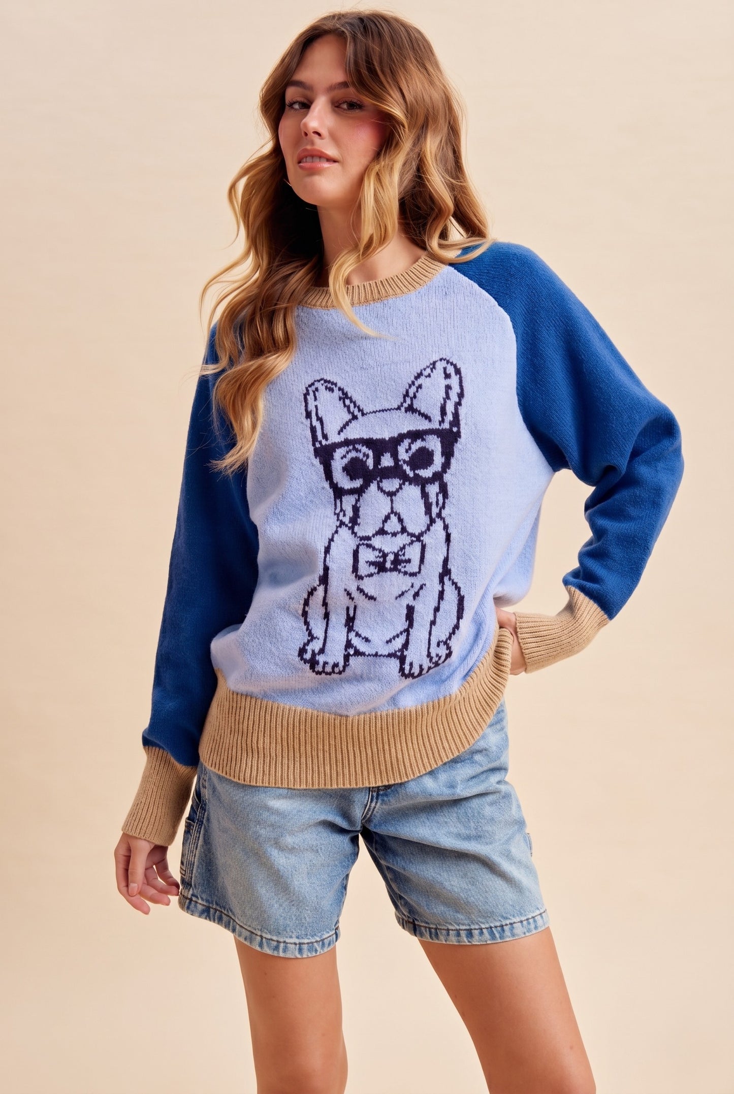 French Bulldog Color Block Sweater