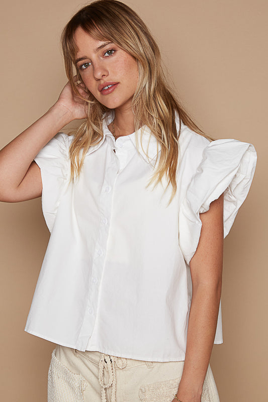 The Poet's Blouse