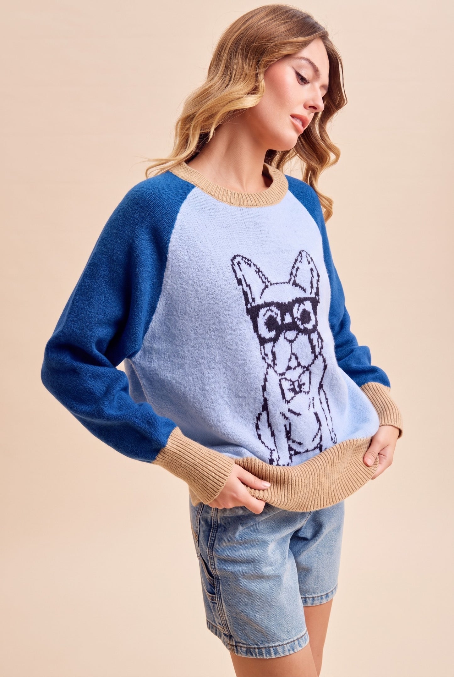 French Bulldog Color Block Sweater