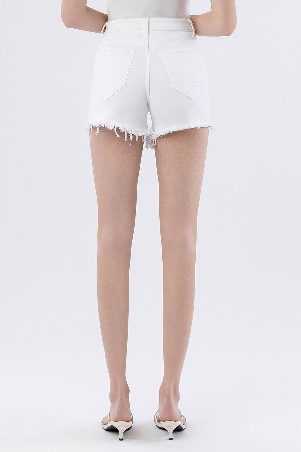 Optic Tummy Control High Rise Short by Lovervet