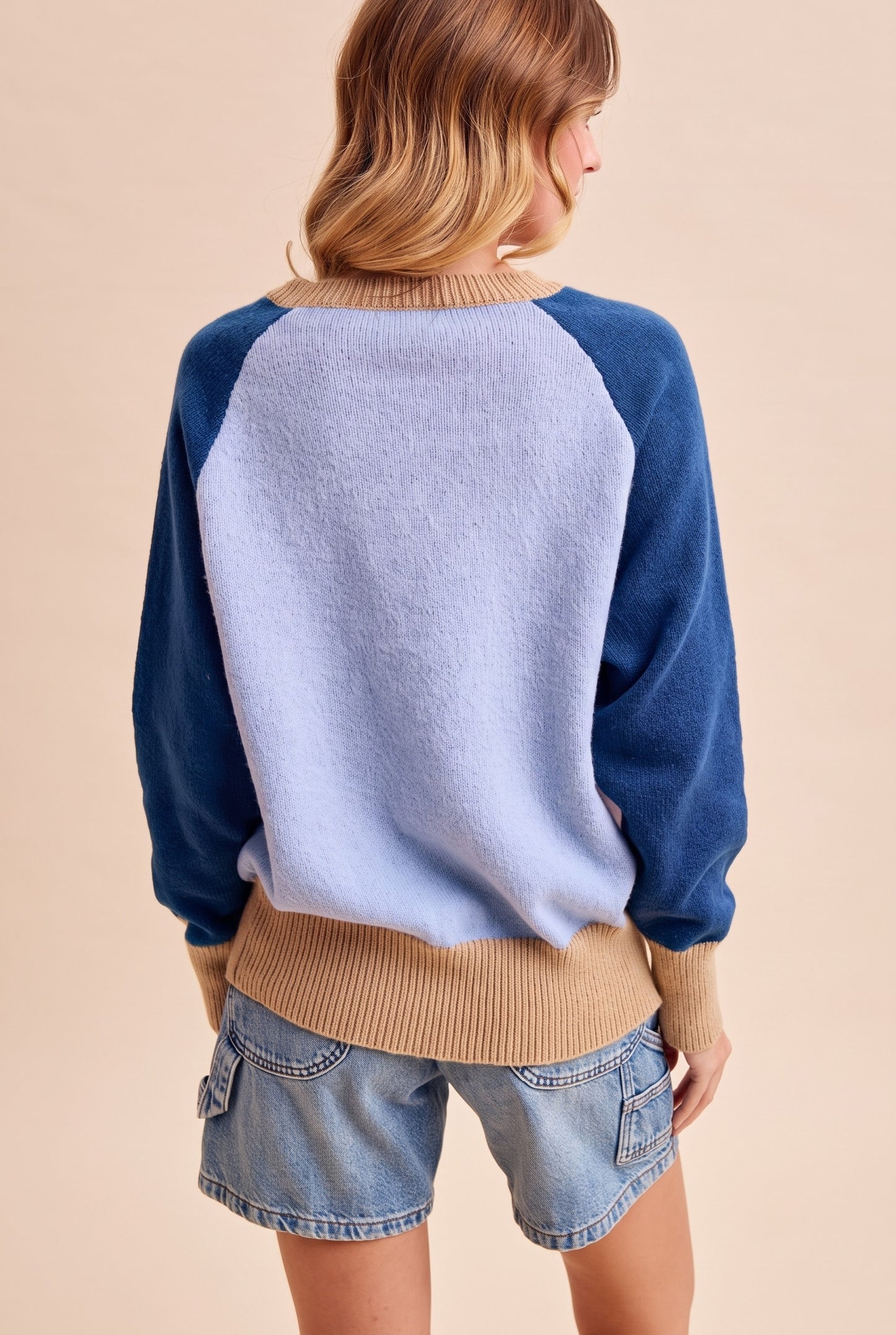 French Bulldog Color Block Sweater