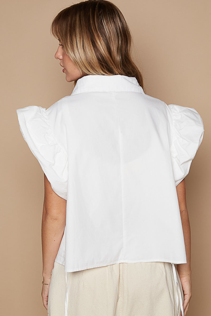 The Poet's Blouse